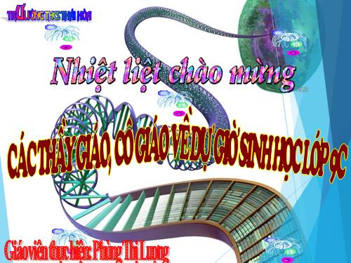 Bài 20. Thực hành: Quan sát và lắp mô hình ADN