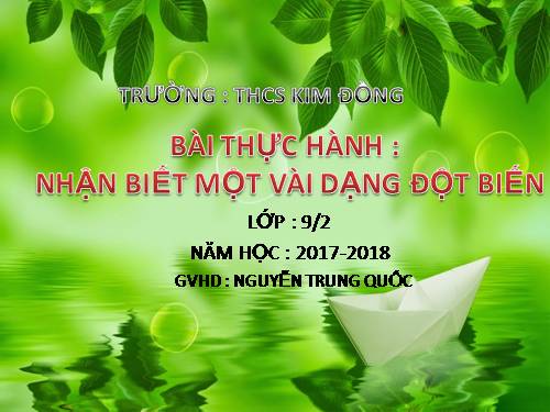 Bài 26. Thực hành: Nhận biết một vài dạng đột biến