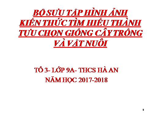 Bài 39. Thực hành: Tìm hiểu thành tựu chọn giống vật nuôi và cây trồng