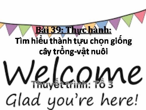 Bài 39. Thực hành: Tìm hiểu thành tựu chọn giống vật nuôi và cây trồng