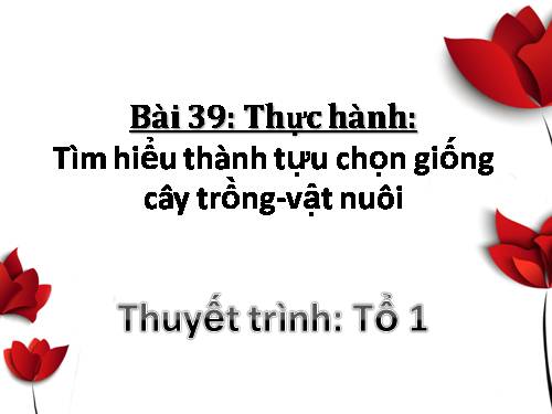 Bài 39. Thực hành: Tìm hiểu thành tựu chọn giống vật nuôi và cây trồng