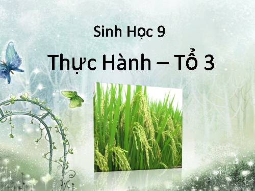 Bài 38. Thực hành: Tập dượt thao tác giao phấn