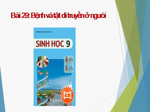 Bài 29. Bệnh và tật di truyền ở người