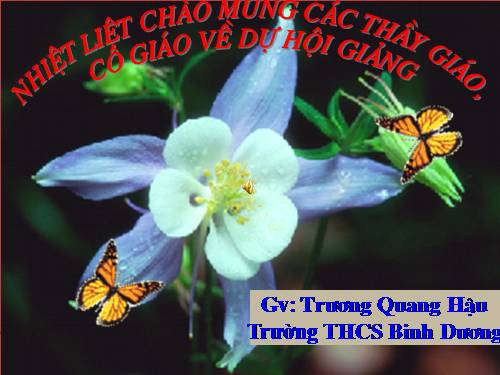Bài 7. Bài tập chương I