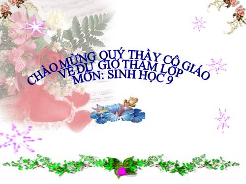 Bài 54. Ô nhiễm môi trường