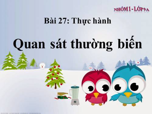 Bài 27. Thực hành: Quan sát thường biến