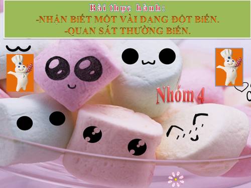 Bài 26. Thực hành: Nhận biết một vài dạng đột biến