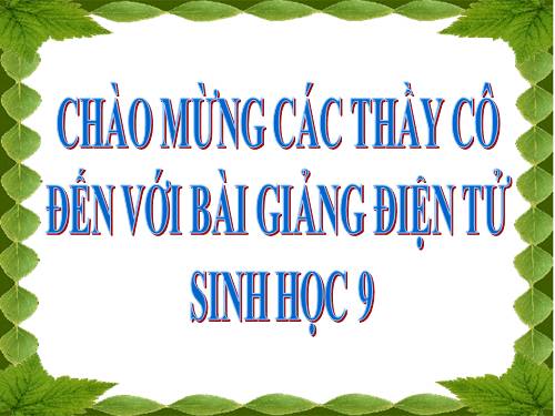 Bài 33. Gây đột biến nhân tạo trong chọn giống