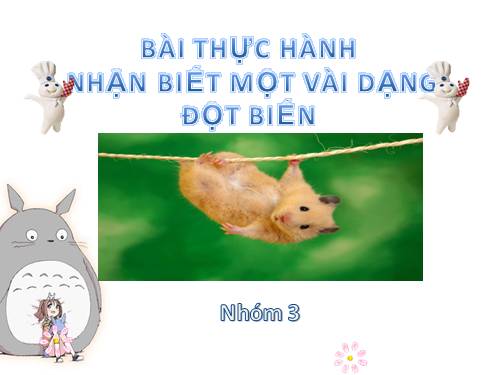 Bài 26. Thực hành: Nhận biết một vài dạng đột biến