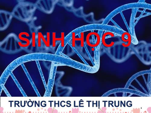 Bài 8. Nhiễm sắc thể