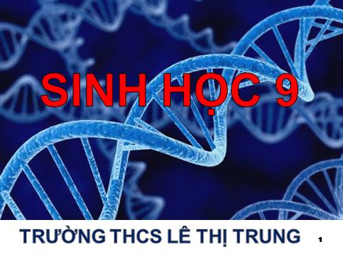 Bài 4. Lai hai cặp tính trạng