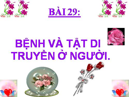 Bài 29. Bệnh và tật di truyền ở người