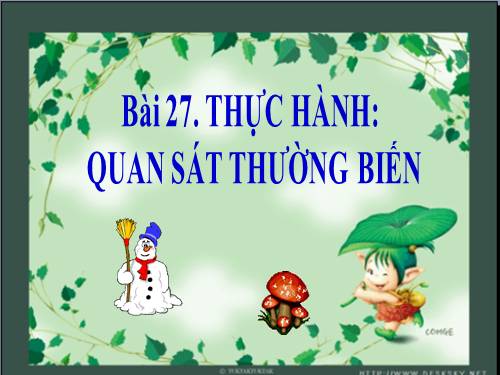 Bài 27. Thực hành: Quan sát thường biến