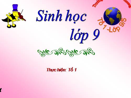 Bài 27. Thực hành: Quan sát thường biến