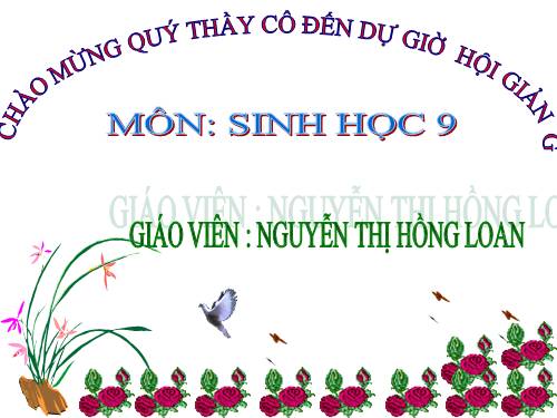 Bài 25. Thường biến