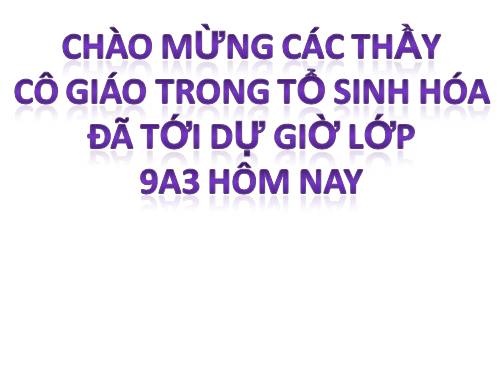 Bài 26. Thực hành: Nhận biết một vài dạng đột biến