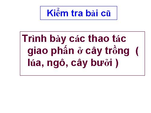 Bài 39. Thực hành: Tìm hiểu thành tựu chọn giống vật nuôi và cây trồng