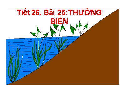 Bài 25. Thường biến