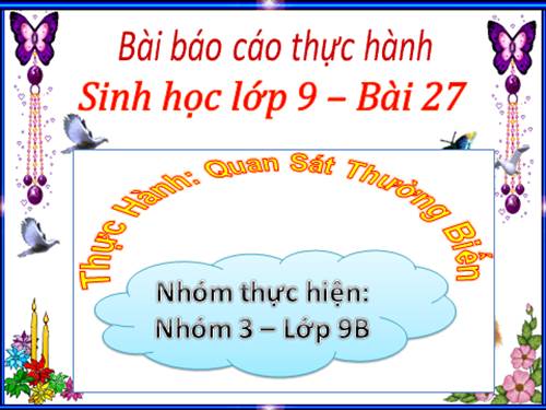 Bài 27. Thực hành: Quan sát thường biến