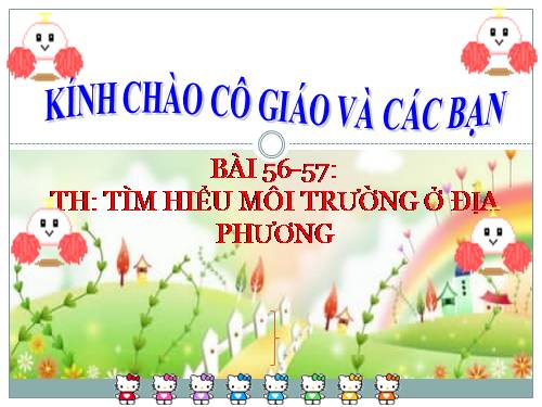 Bài 56. Thực hành: Tìm hiểu tình hình môi trường ở địa phương