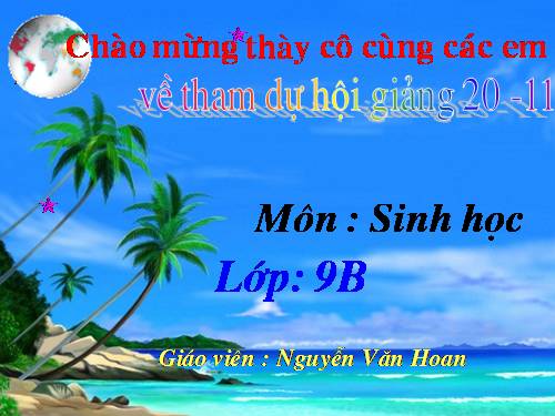 Bài 21. Đột biến gen