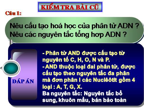 Bài 17. Mối quan hệ giữa gen và ARN