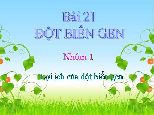 Bài 21. Đột biến gen