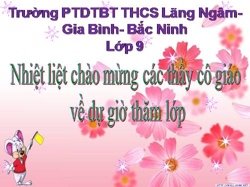 Bài 41. Môi trường và các nhân tố sinh thái