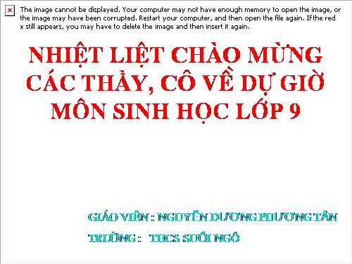 Bài 21. Đột biến gen