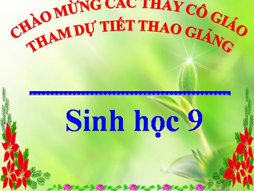 Bài 23. Đột biến số lượng nhiễm sắc thể