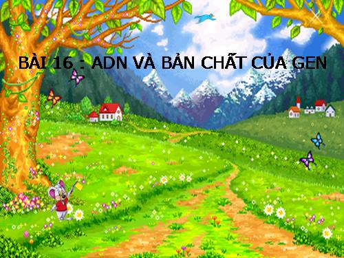 Bài 16. ADN và bản chất của gen