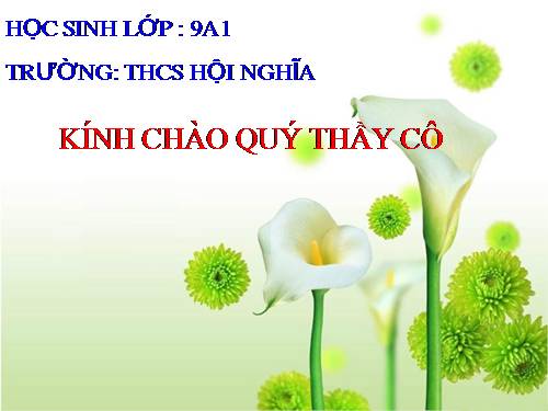 Bài 16. ADN và bản chất của gen