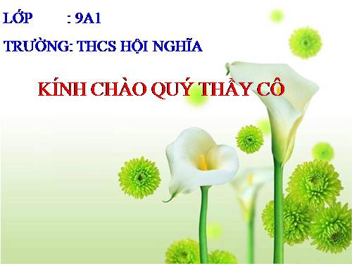 Bài 17. Mối quan hệ giữa gen và ARN