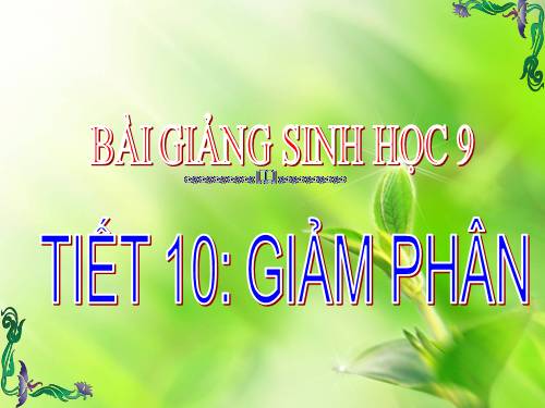 Bài 10. Giảm phân