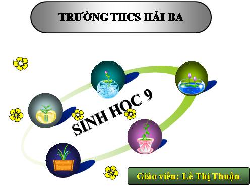 Bài 28. Phương pháp nghiên cứu di truyền người