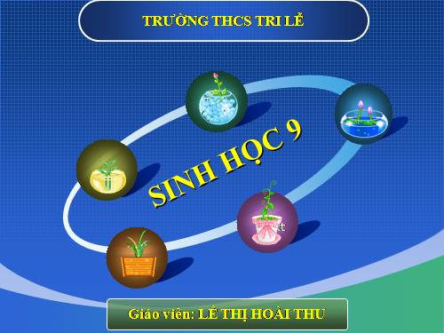 Bài 11. Phát sinh giao tử và thụ tinh