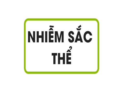 Bài 8. Nhiễm sắc thể