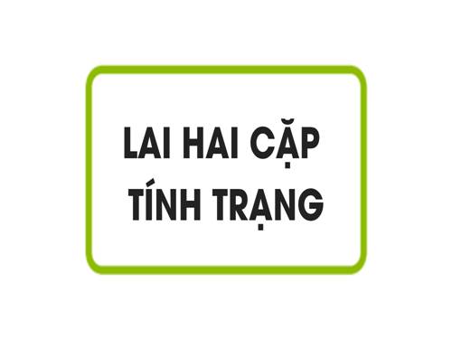 Bài 4. Lai hai cặp tính trạng