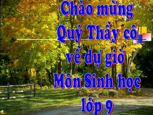 Bài 41. Môi trường và các nhân tố sinh thái