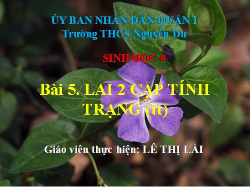 Bài 5. Lai hai cặp tính trạng (tiếp theo)