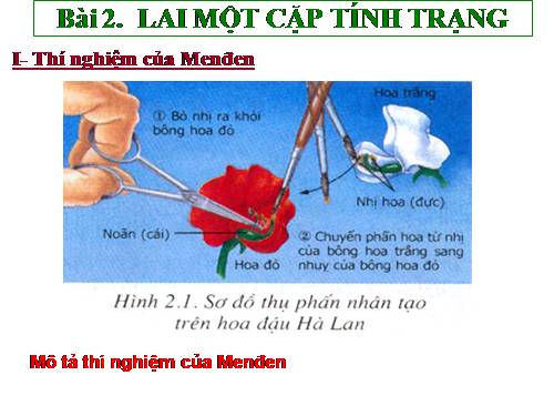 Bài 2. Lai một cặp tính trạng