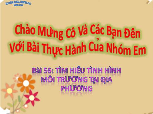 Bài 56. Thực hành: Tìm hiểu tình hình môi trường ở địa phương