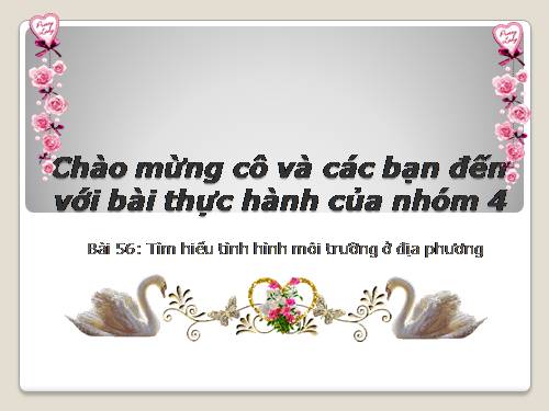 Bài 56. Thực hành: Tìm hiểu tình hình môi trường ở địa phương