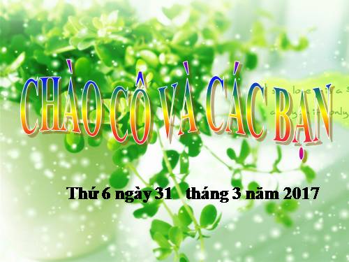 Bài 57. Thực hành: Tìm hiểu tình hình môi trường ở địa phương