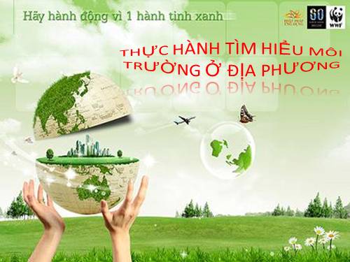 Bài 56. Thực hành: Tìm hiểu tình hình môi trường ở địa phương