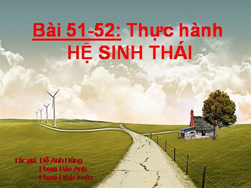 Bài 51. Thực hành: Hệ sinh thái