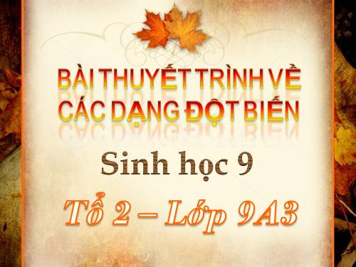 Bài 26. Thực hành: Nhận biết một vài dạng đột biến