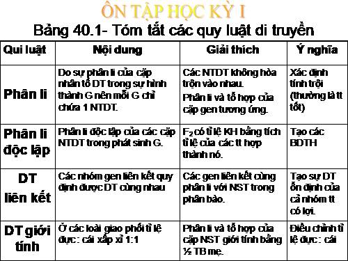 Bài 40. Ôn tập phần Di truyền và biến dị