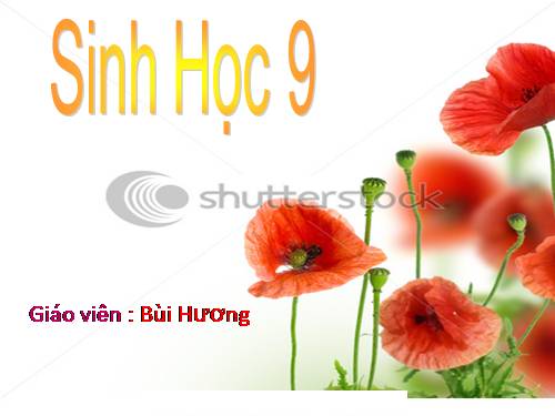 Bài 50. Hệ sinh thái