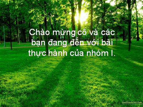 Bài 45. Thực hành: Tìm hiểu môi trường và ảnh hưởng của một số nhân tố sinh thái lên đời sống sinh vật